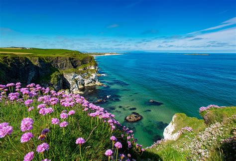 Ireland .